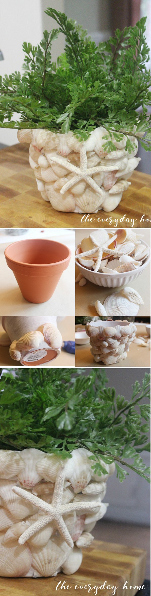 DIY Shell Covered Terra Cotta Pot