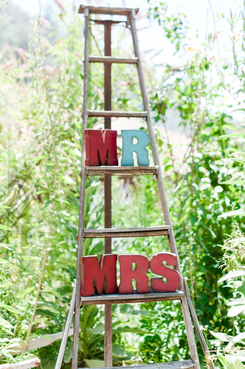 Outdoor Wedding Ladder Decor