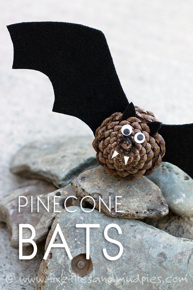 Pinecone Bats