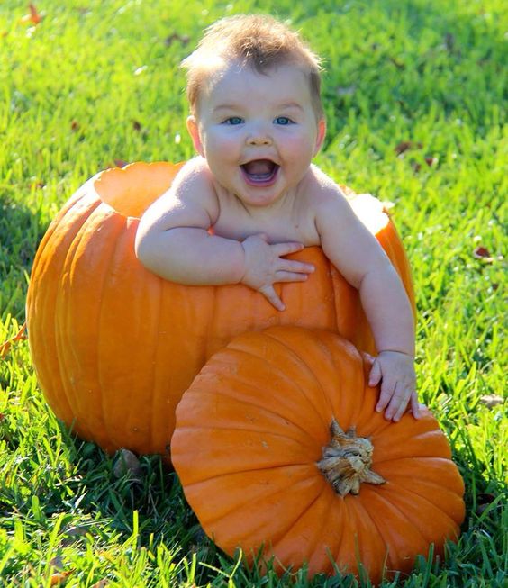 Halloween Pumpkin Carving