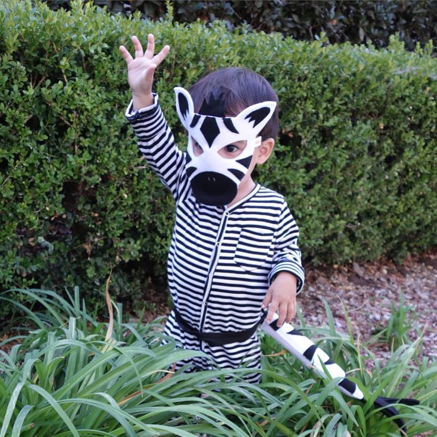 Here we see the majestic zebra hiding in the bushes.