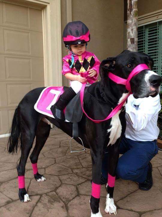 Love this kids Halloween outfit but special credit must go to the patient dog.