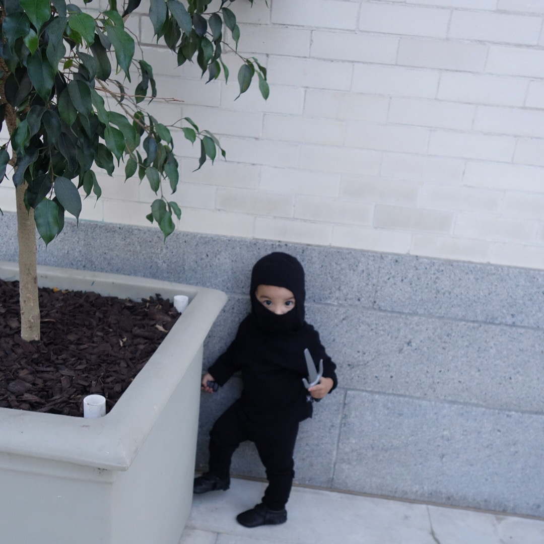 Ninja Master Henry stealthily sneaks through the urban forest.