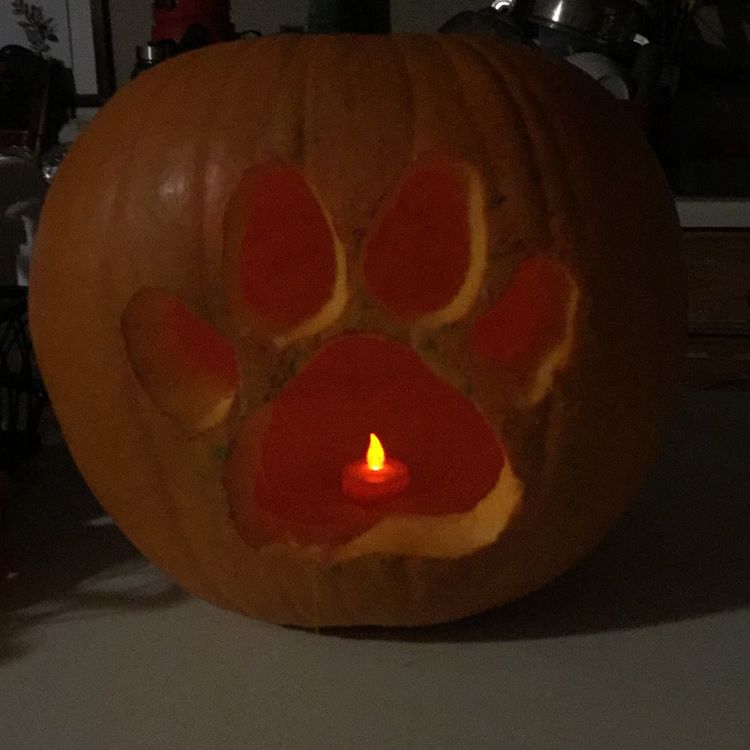 Halloween Pumpkin Carving