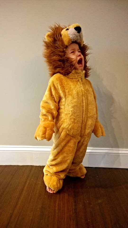 Perfect roar!