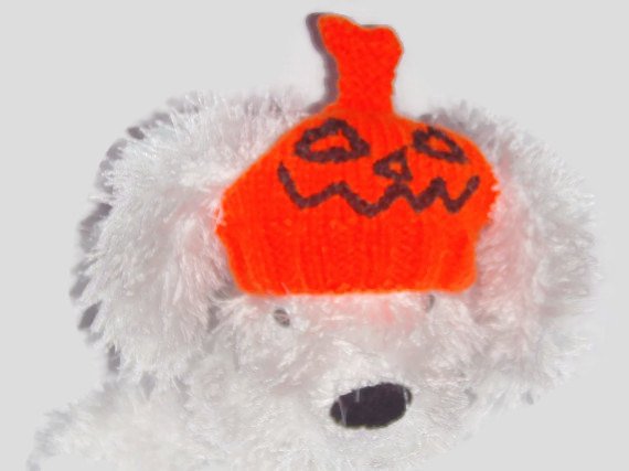 Pumpkin Halloween costume hat, Halloween dog hat