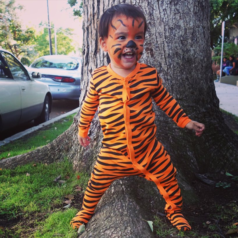 Rawr! I'm a fearsome tiger!