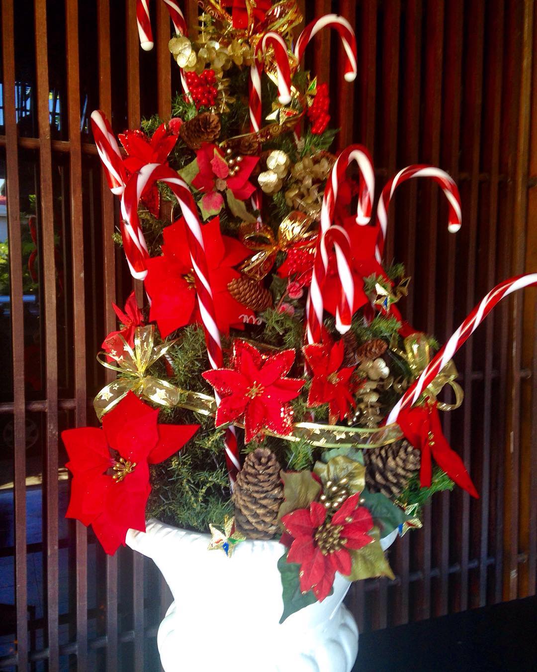 Christmas candy cane vase.