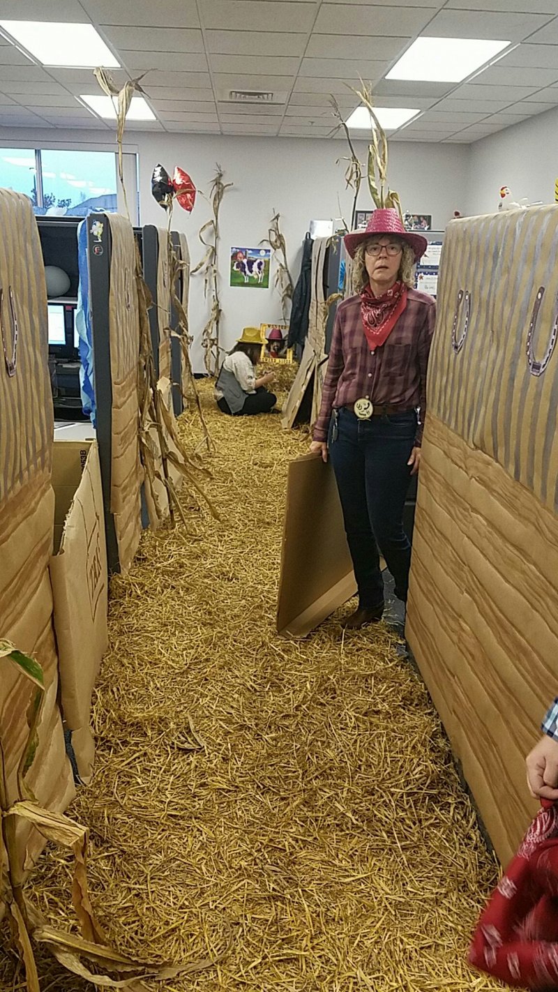 Decorated office as a ranch.