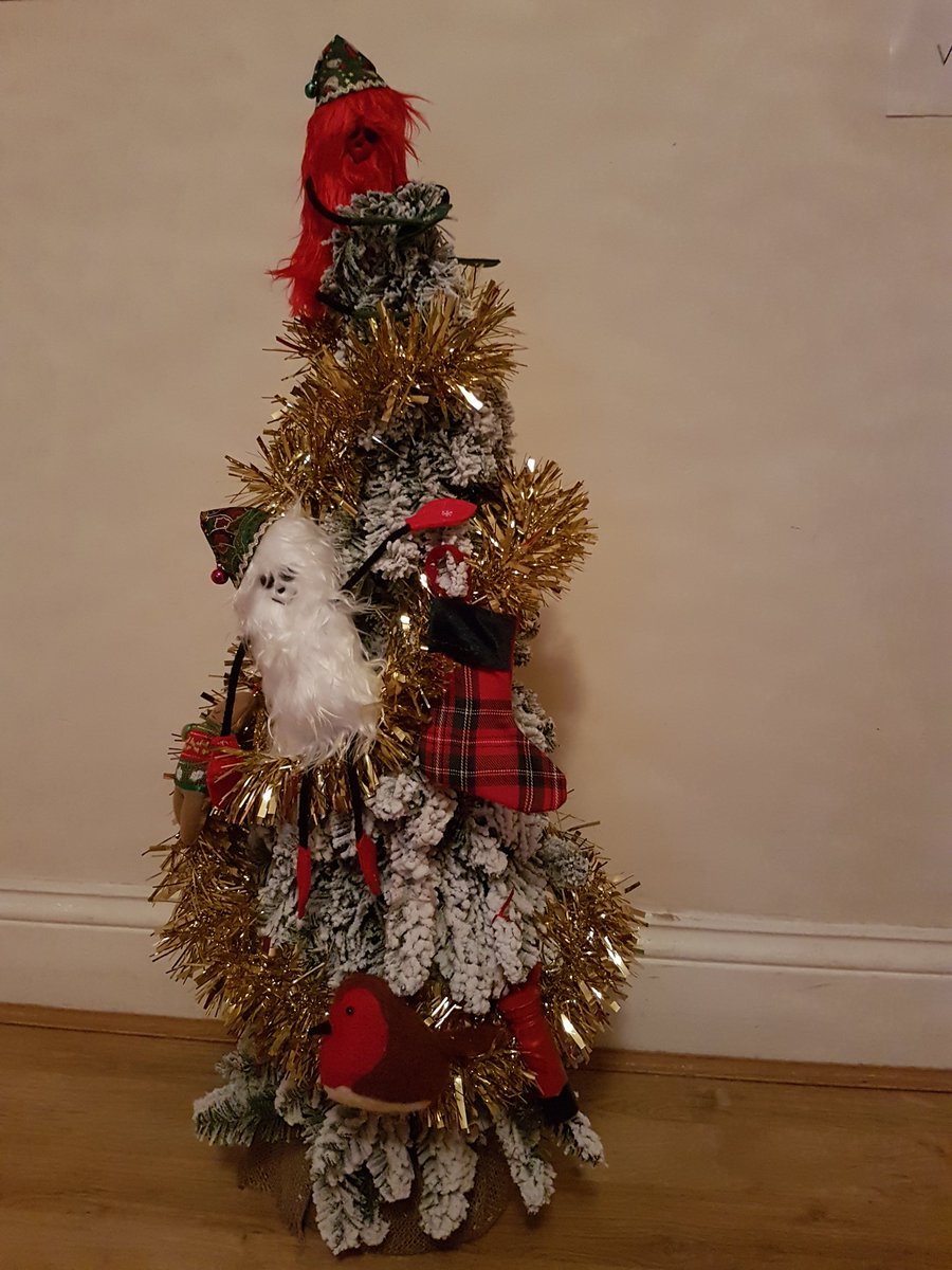 Hayley and Horatio Twecckle love climbing up the Christmas tree.