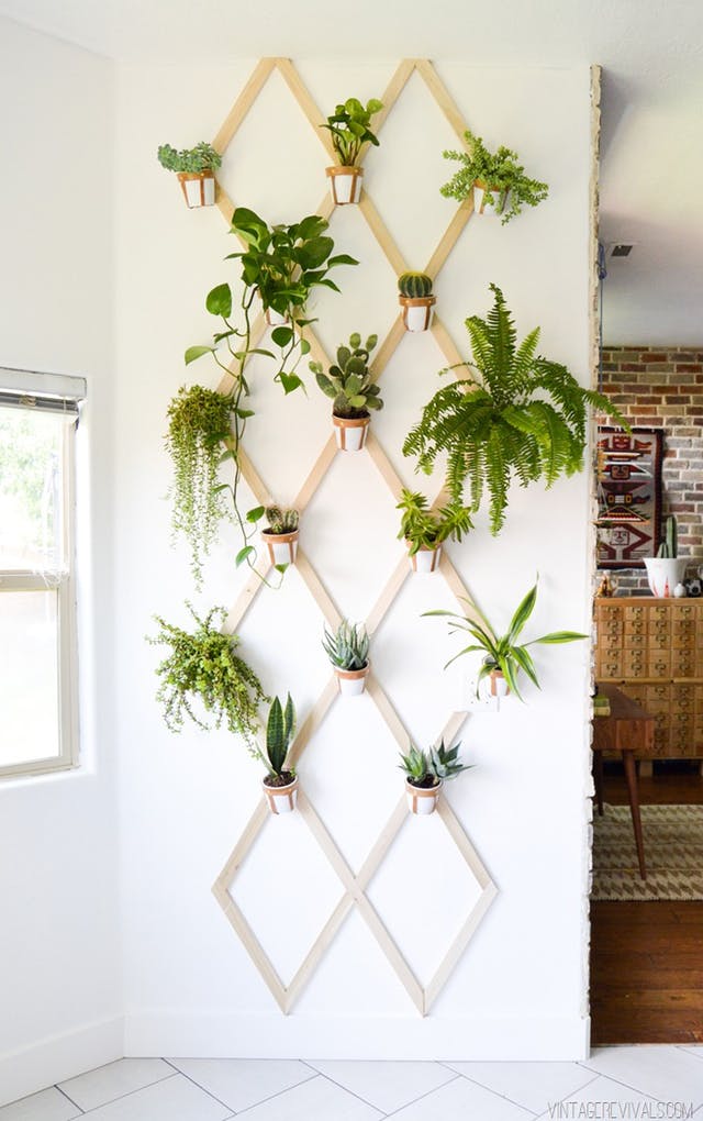 Leather and wood trellis DIY.