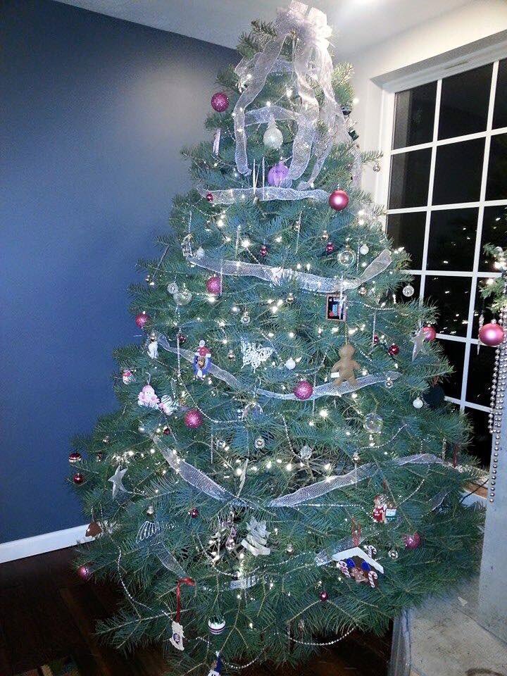 Perfect Christmas Tree.