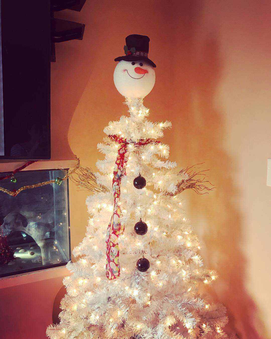 The lazy man’s Christmas tree.