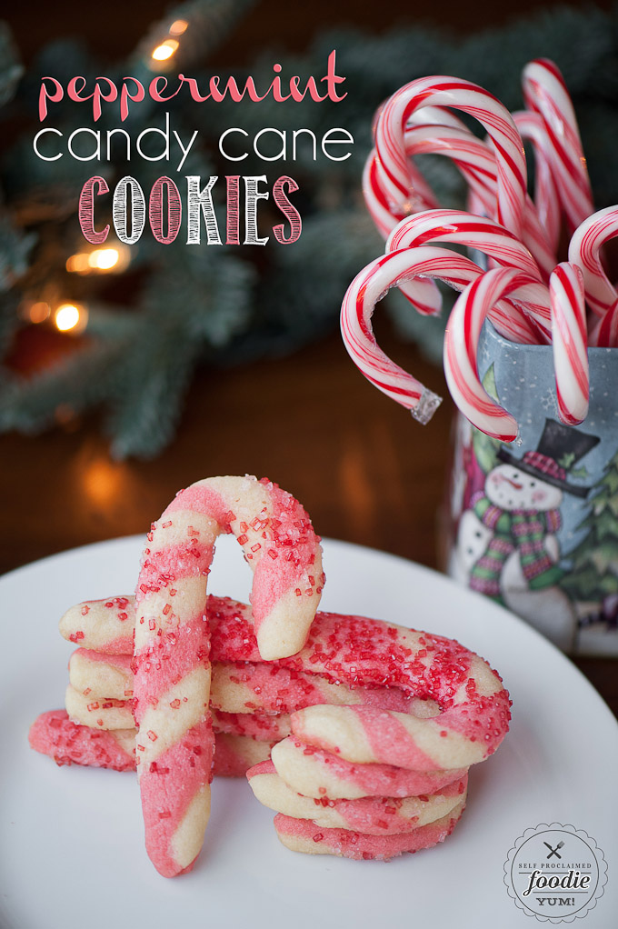 Candy Cane Cookies by Self Proclaimed Foodie