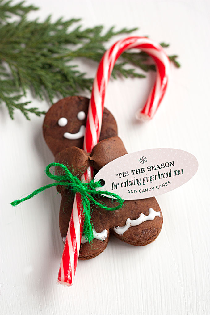 Chocolate Gingerbread Men Cookies Holding Candy Canes by Evermine Occasions