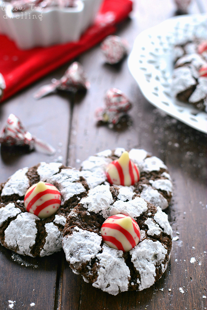 Chocolate Peppermint Blossoms by Lemon Tree Dwelling