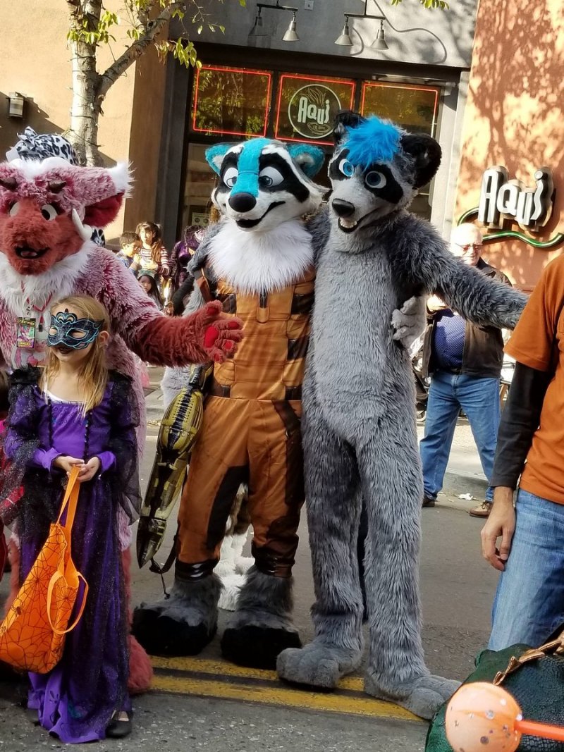 Fursuit Halloween costume! Halloween Costumes for Kids