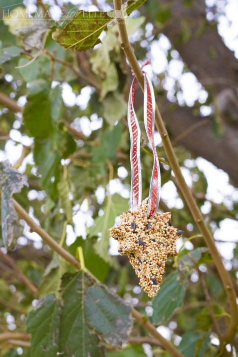 Holidays Christmas Craft Idea To Make Bird Food Ornament.
