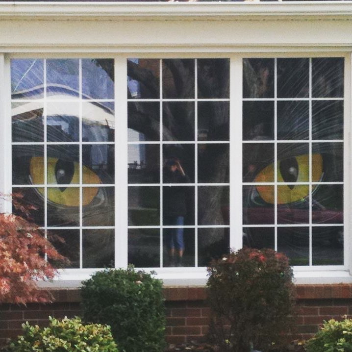 The windows have eyes.