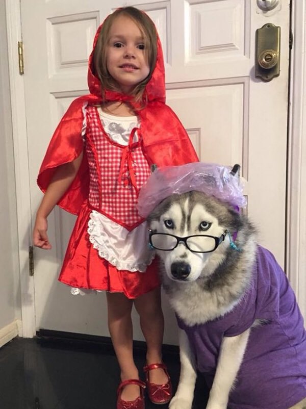 This just won halloween! Halloween Costumes for Kids