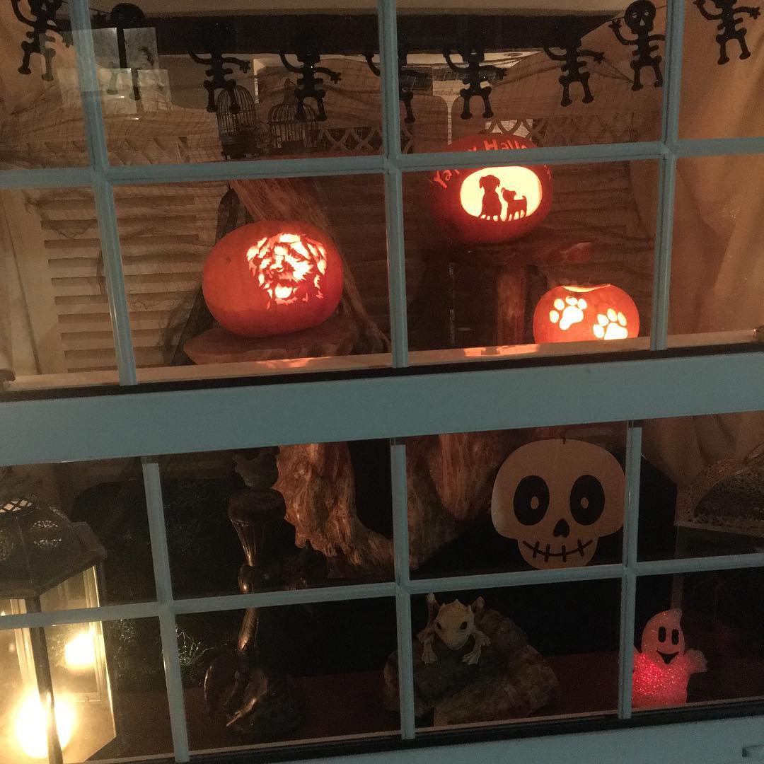 Window display with doggy themed pumpkins.