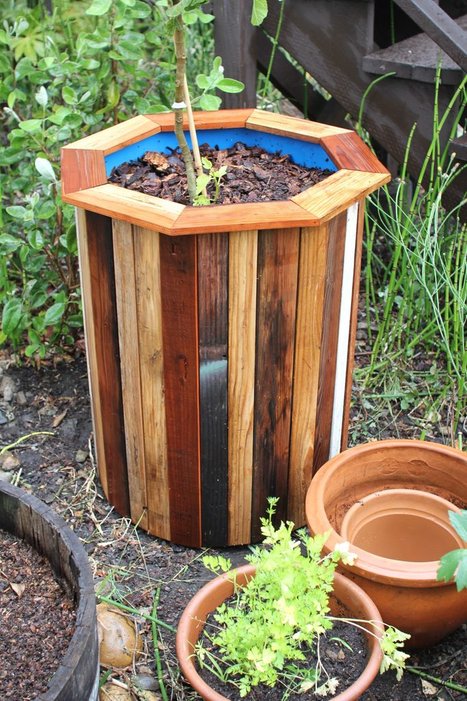 55 Gallon Drum Planters - Plant Stands Ideas