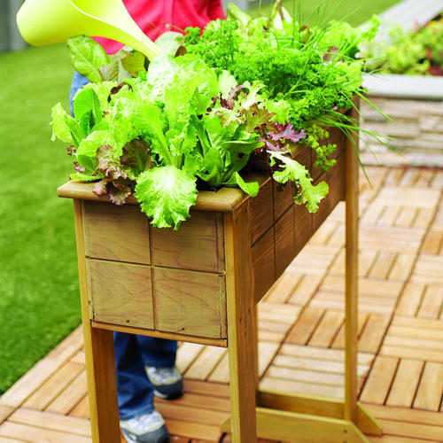 DIY Planter Box Design To Grow Slalad.