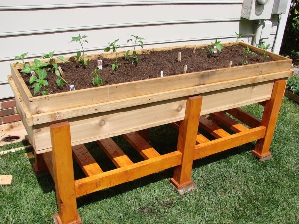 Planter Box plan for Vegetable Gardening.