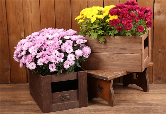 Triple DIY Flower Box - Plant Stands Ideas