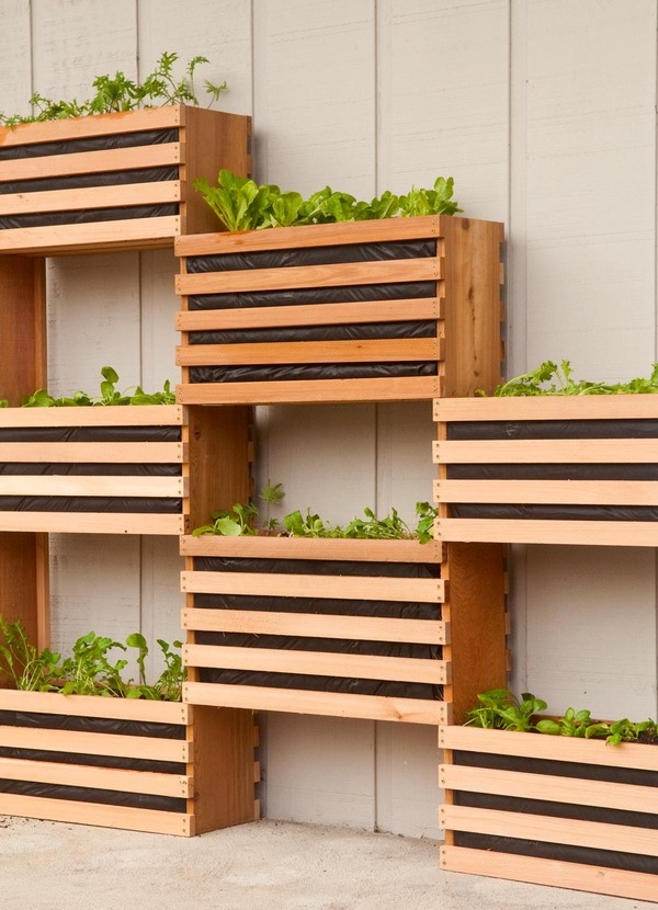 Vertical Vegetable Garden - Plant Stands Ideas
