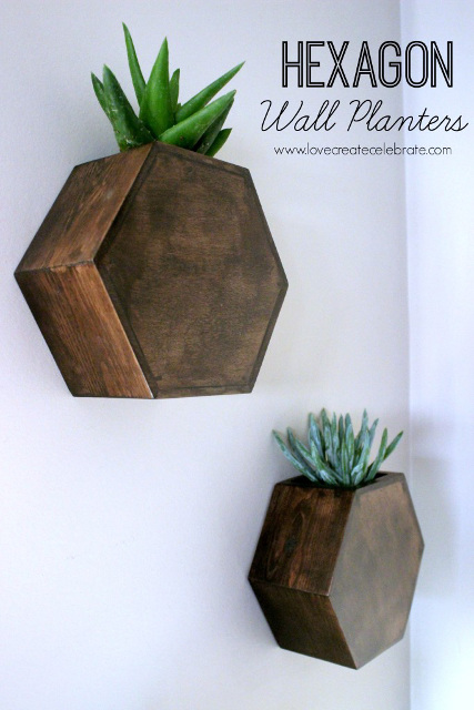 Hexagon Wall Planter.