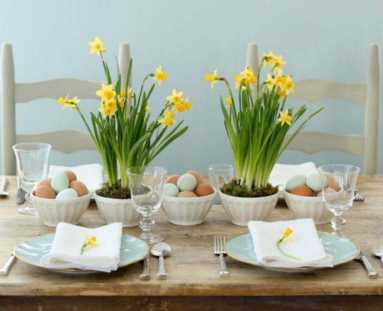 Spring Centerpieces with Blue Eggs & Daffodils.