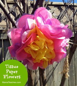 Tissue Paper Flowers Craft. 