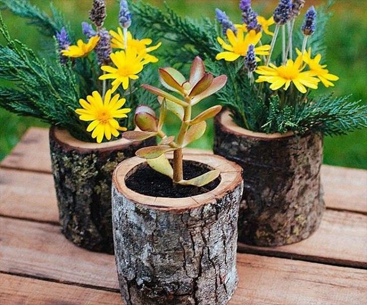 Turning Log Into Planter - DIY Log Wood Ideas