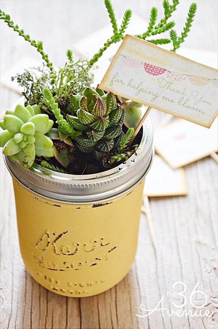 Amazing Succulent Mason Jars, Display Succulents in Your Home