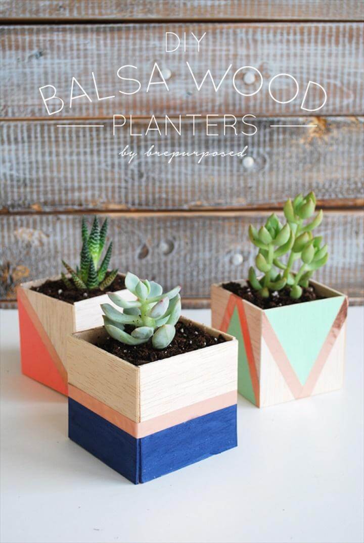 Balsa Wood Succulent Planters.