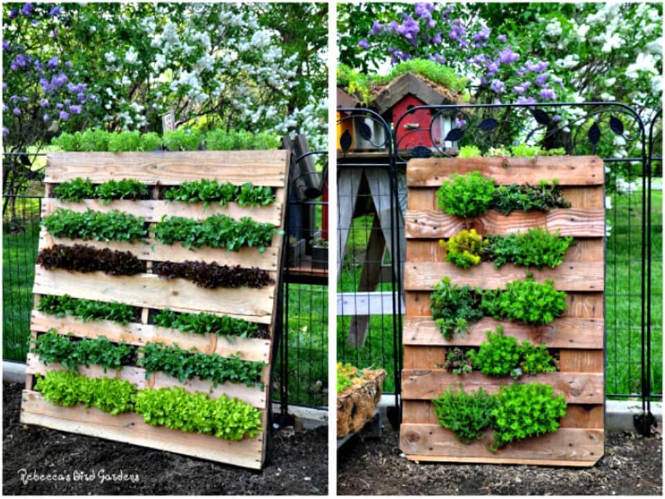 Beautiful DIY Vertical Pallet Garden.