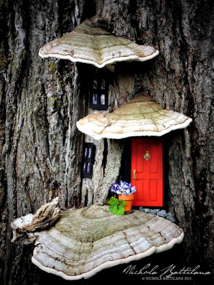 Beautiful Outdoor Fairy Garden.