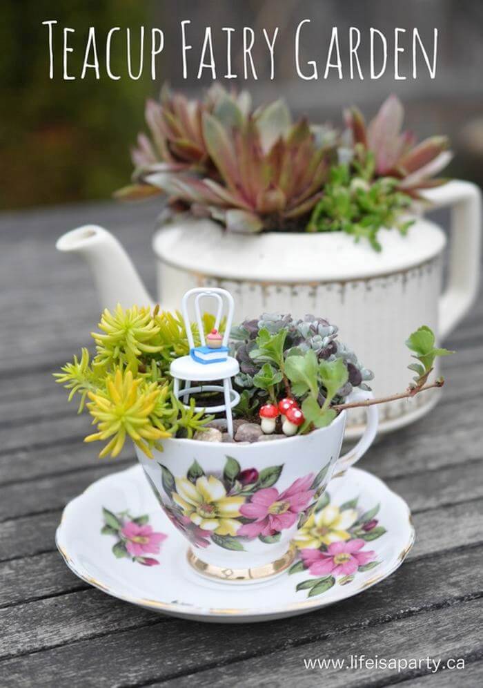 Beautiful Teacup DIY Fairy Garden.