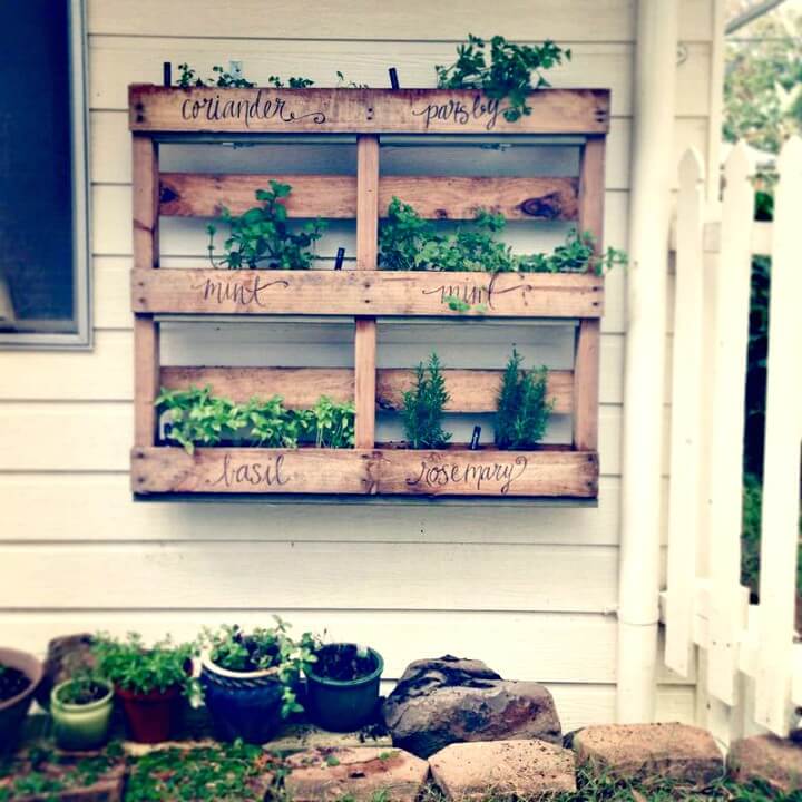 Build Your Own Pallet Herb Garden.
