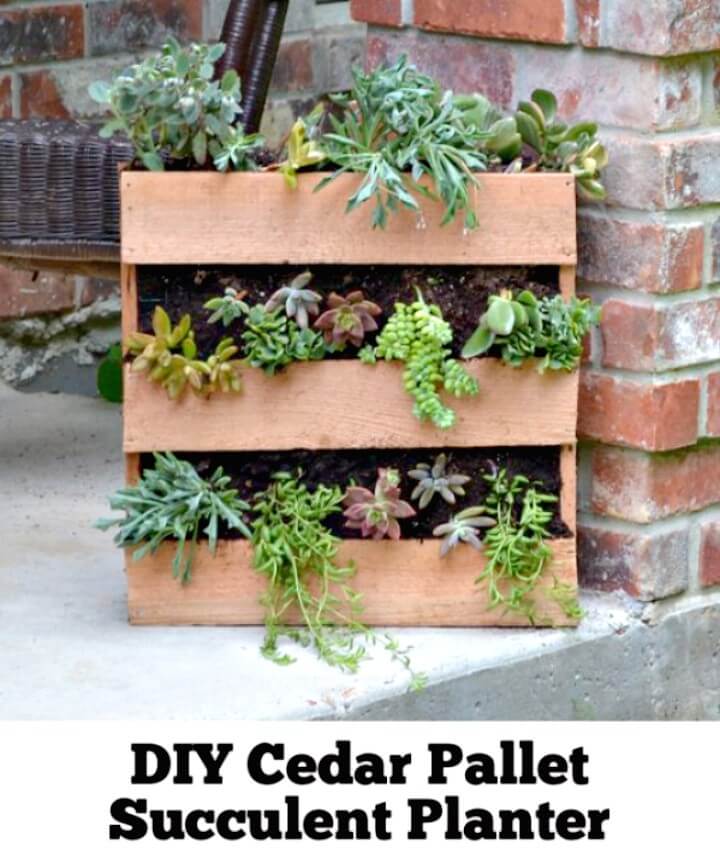 Cedar Pallet Succulent Planter.