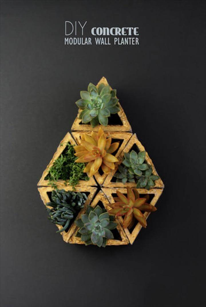 Concrete Modular Wall Succulent Planter. Display Succulents in Your Home
