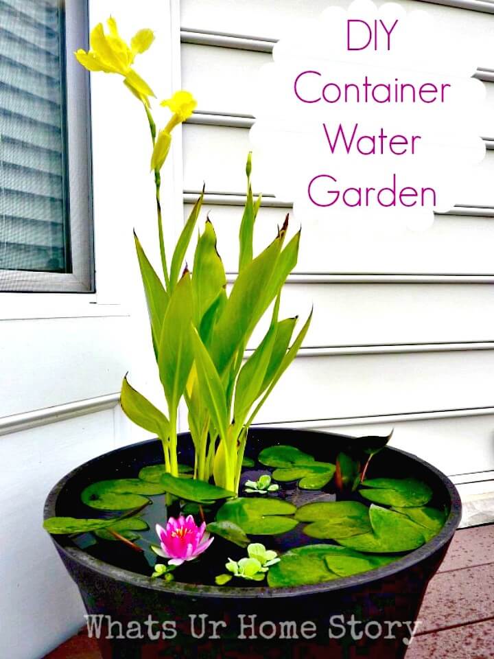 Container Water Garden.
