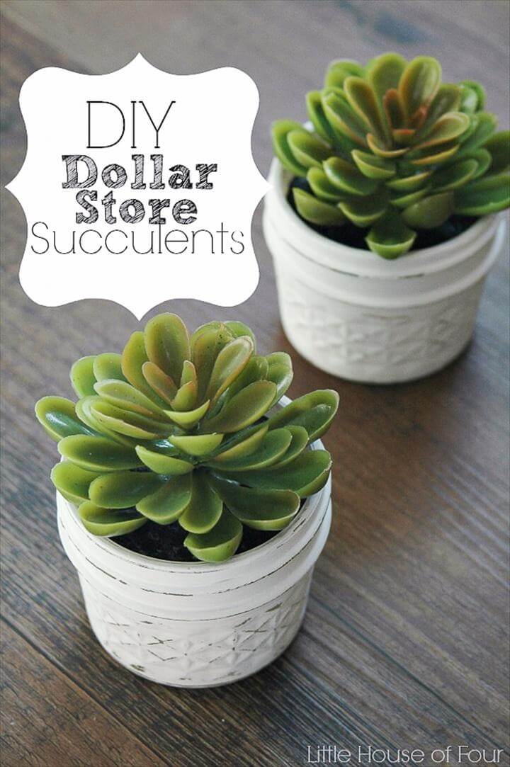 Dollar Store Succulent Planter.