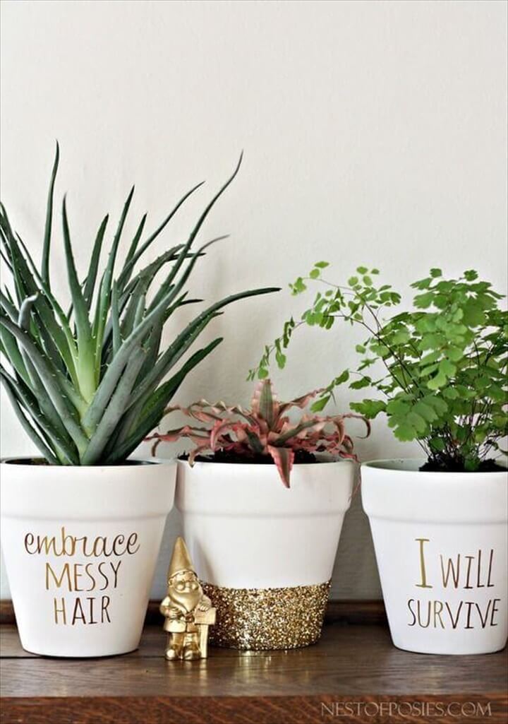 Gold Foil Letting Succulent Pots.