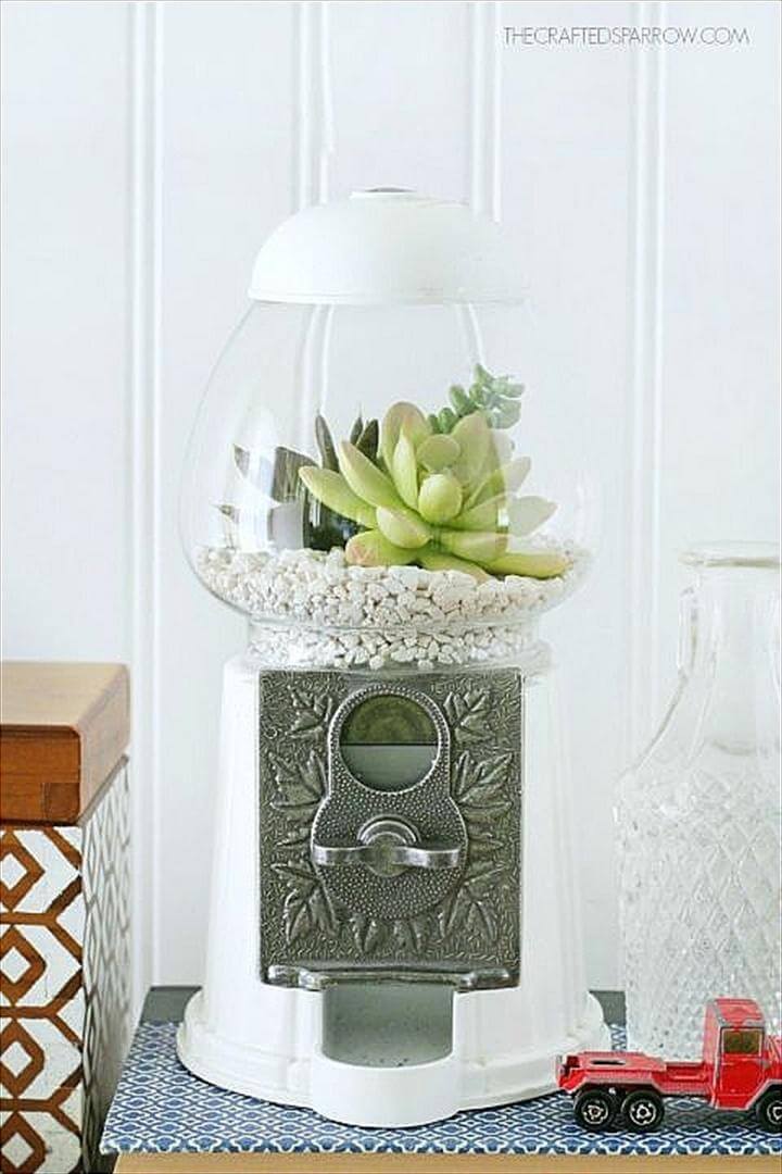 Gum Ball Machine Succulent Garden. Display Succulents in Your Home