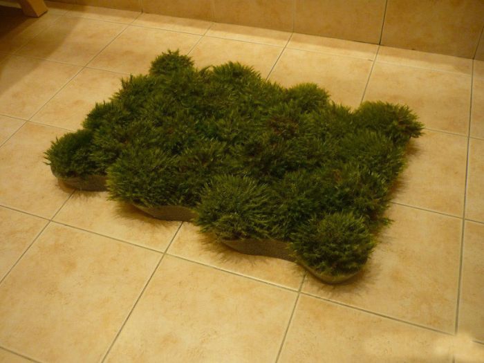 Homemade Grass Bathroom Mat.