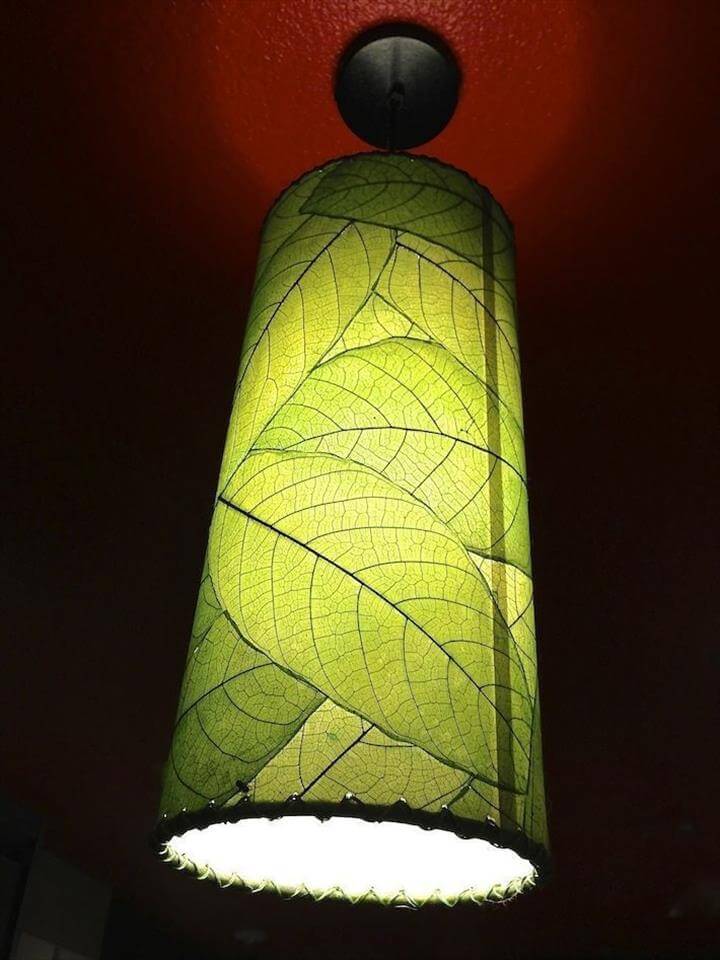 House Plant Lampshade Makeover.