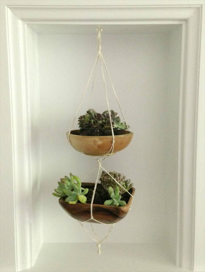 Mini Hanging Succulent Planters. Display Succulents in Your Home