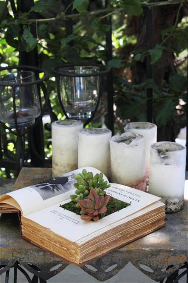 Open Books Succulent Garden.